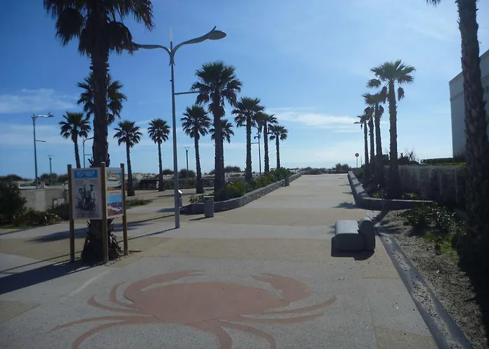 Maison 3 Pieces Avec Terrasse Et Parking, Proche Plage, Plage, Animaux Acceptes - Fr-1-387-127 * Marseillan (Herault)